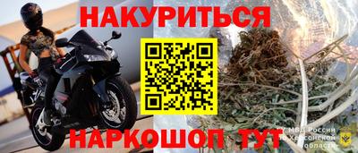 ECSTASY Гай
