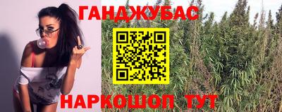 ECSTASY Гай