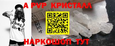 ECSTASY Гай