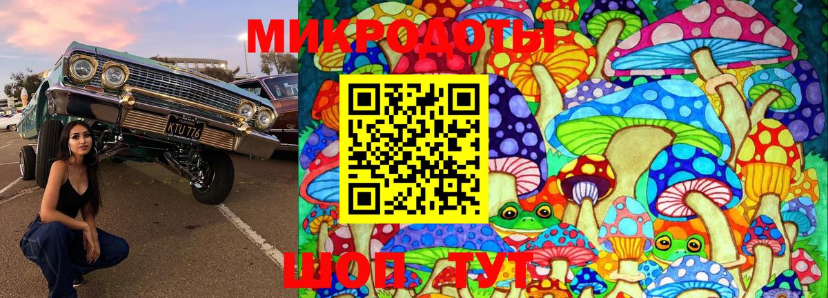 Псилоцибиновые грибы мухоморы Тайшет